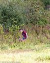 20160924-c-0003