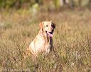 20160924-mh2-0289