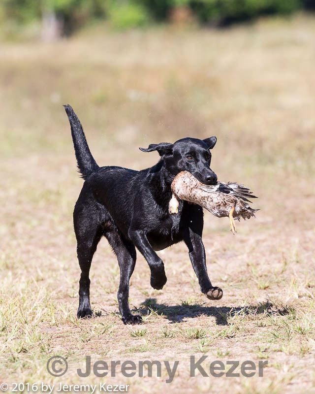 20160924-mh2-0119.jpg
