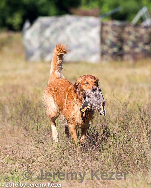 20160924-mh2-0249.jpg