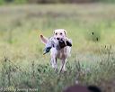 20160924-shl-0029