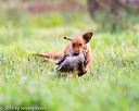 20160924-shl-0100
