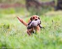 20160924-shl-0103