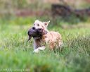 20160924-shl-0123