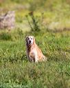 20160924-shl-0153