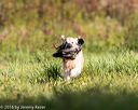 20160924-shl-0157