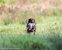 20160924-shl-0204