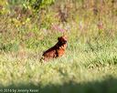 20160924-shl-0255
