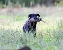 20160924-shl-0305