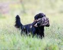 20160924-shl-0325