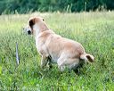 20160924-shl-0334
