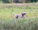 20160924-shl-0337