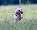20160924-shl-0355