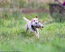 20160924-shl-0368