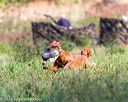 20160924-shl-0385