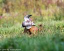 20160924-shl-0391