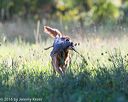 20160924-shl-0398