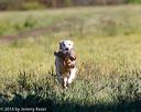 20160924-shl-0468
