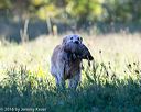 20160924-shl-0484