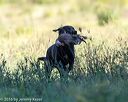 20160924-shl-0539
