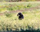 20160924-shl-0552