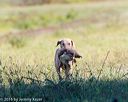 20160924-shl-0603