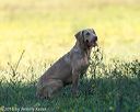 20160924-shl-0622