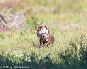 20160924-shl-0642