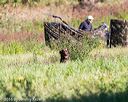 20160924-shl-0672