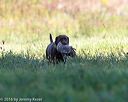 20160924-shl-0678