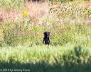 20160924-shl-0722