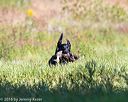 20160924-shl-0724