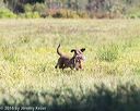20160924-shl-0794