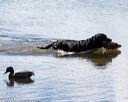 20160924-shw-0768