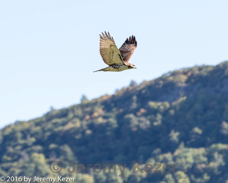 20160925-c-0013.jpg