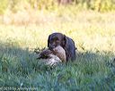 20160925-jhl-0150