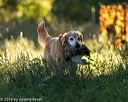 20160925-jhl-0176