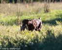 20160925-jhl-0189