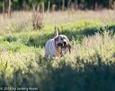 20160925-jhl-0273
