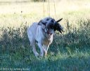 20160925-jhl-0299