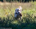 20160925-jhl-0394
