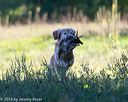 20160925-jhl-0530