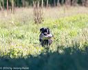 20160925-jhl-0631