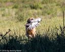 20160925-jhl-0732