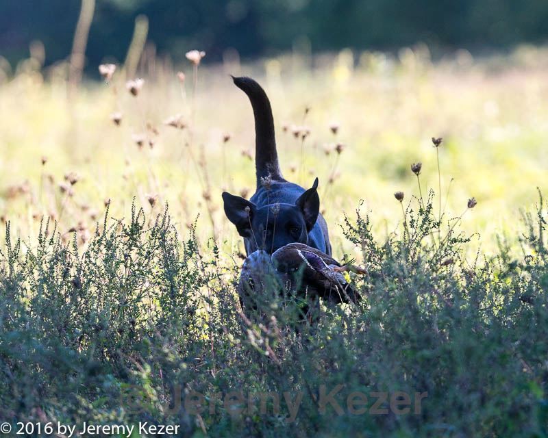 20160925-jhl-0507.jpg