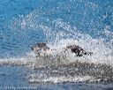 20160925-jhw-0139