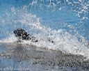 20160925-jhw-0232
