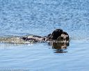 20160925-jhw-0236