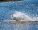 20160925-jhw-0441