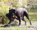 20160925-jhw-0869